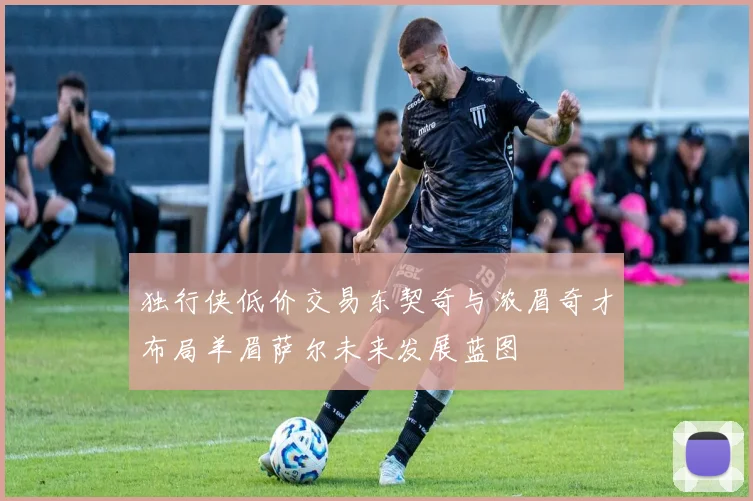 独行侠低价交易东契奇与浓眉奇才布局羊眉萨尔未来发展蓝图